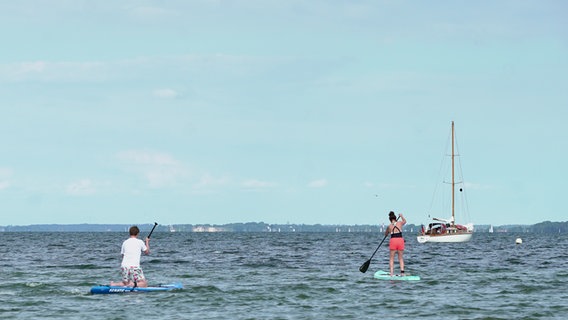 Zwei Menschen fahren auf der Ostsee mit einem SUP-Board. © NDR Foto: Lena Storm
