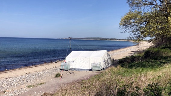 Ein Zelt mit Antenne steht direkt am Strand. © NDR Foto: Hauke von Hallern