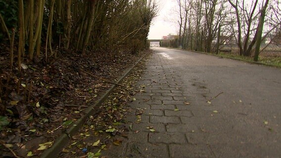 Ein Weg in Heide führt an einer Böschung vorbei. © NDR 