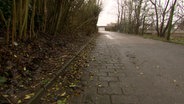 Ein Weg in Heide führt an einer Böschung vorbei. © NDR 