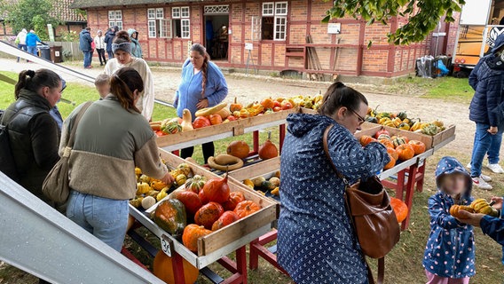 Mehrere Menschen stehen um einen Verkaufsstand bei einem Herbstmarkt in Molfsee. © NDR Foto: Torsten Creutzburg