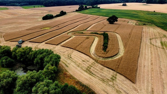 Drohnenaufnahme von einem Feld im Erntevorgang © Wolfgang Hinz Foto: Wolfgang Hinz