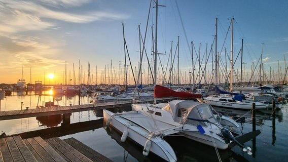 Segelboote liegen im Hafen, am Horizont geht die Sonne auf © Erika Schomann Foto: Erika Schomann