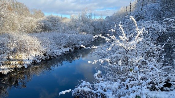 Schnee auf den Ästen der Bäume am Ufer eines Flusses. © Maike Haupt Foto: Maike Haupt