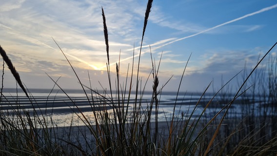 Sonnenstrahlen bahnen sich ihren Weg durch die Wolkendecke über der Nordsee, Dünengras im Vordergrund. © Michaela Grundmann Foto: Michaela Grundmann