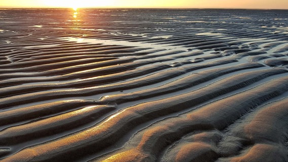 Wellenform auf einem Sandstrandboden bei Ebbe. © Klaus A. Danger Foto: Klaus A. Danger