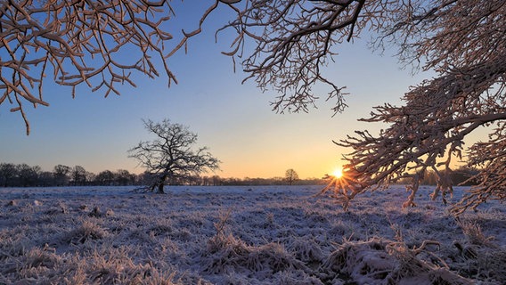 Sonnenaufgang über einer verschneiten Wiese. © Oliver Hartmann Foto: Oliver Hartmann