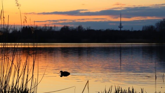 Sonnenuntergang über einem See, auf dem eine Ente schwimmt. Am Horizont der Kieler Fernsehturm. © Jana Salomon Foto: Jana Salomon
