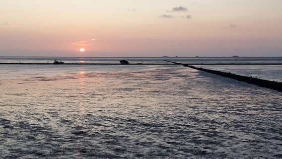 Ein Sonnenuntergang über der Nordsee © Katrin Briese Foto: Katrin Briese