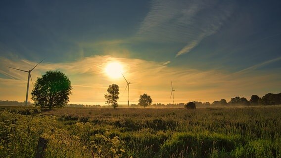 Ein Sonnebaufgang mit drei Windrädern. © Ralf Horstmann Foto: Ralf Horstmann