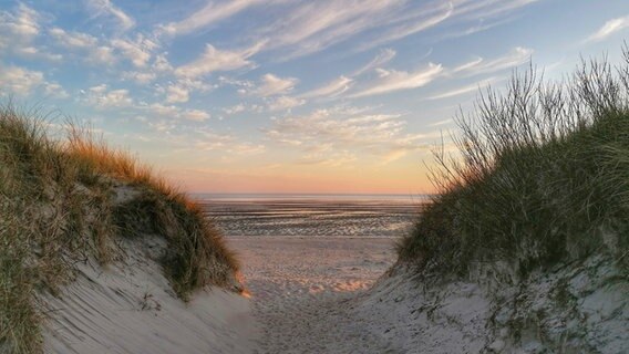 Sonnenuntergang am Strand von Wyk auf der Insel Föhr. © Korina Neef Foto: Korina Neef