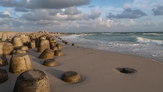 Am Strand von Sylt stehen die Tetrapoden auf Sand. © Catharina Wetendorf Foto: Catharina Wetendorf