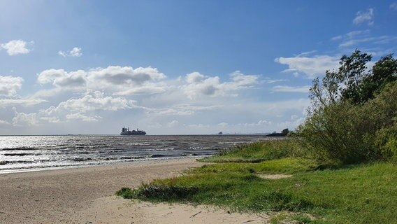 Ein Stück Strand an der Elbe, auf dem Wasser sieht man in großer Distanz ein Schiff. © Johanna Lange Foto: Johanna Lange