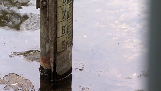 Nahaufnahme eines Hochwassermessers, der im Wasser steht. © NDR 