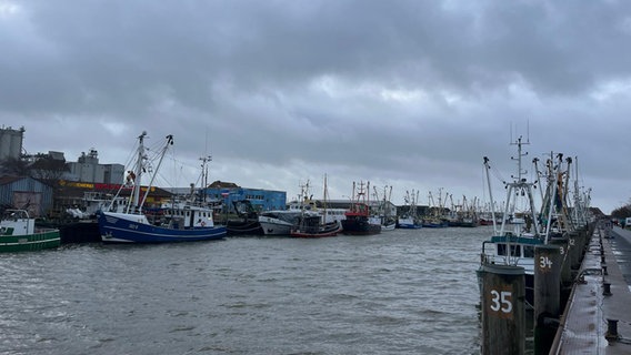 Im Hafen von Büsum ist das Becken auch ziemlich voll. Die Schleuse bleibt überwiegend geschlossen, die Schiffe bleiben vorerst wegen des Sturms im Hafen. © Jan Lembser 