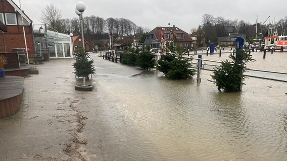 In Langballigau ist das Wasser aus dem Hafenbecken gestiegen und hat sich seitwärts ausgebreitet © NDR Foto: Andre Schnoor