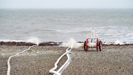 Mehrere Feuerwehrschläuche liegen am Strand und entlassen Wasser in die Ostsee. © 5NEWS 