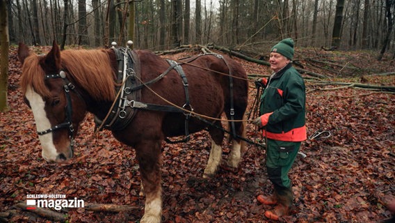 Ein Mann arbeitet mit einem Pferd im Wald. © NDR 