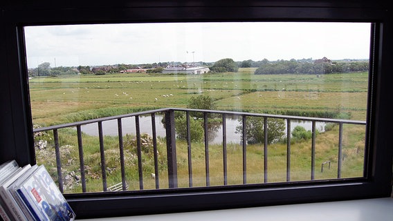Blick aus dem Fenster auf eine Wiese. © NDR Foto: Birte Steuer