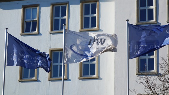 Drei wehende Flaggen vor dem Institut für Weltwirtschaft in Kiel © NDR Foto: Fin Walden