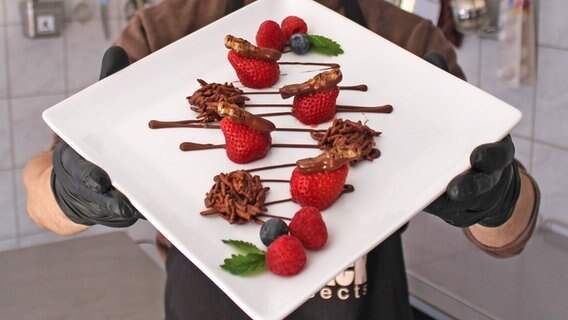 Mit Schokolade überzogene Insekten sind auf Erdbeeren kredenzt. © SNACK-INSECTS 