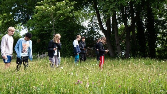 Schülerinnen und Schüler sind auf einem Feld mit Blumen und Gräsern unterwegs. © NDR Foto: Lisa Pandelaki