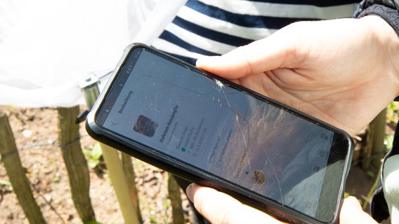 Eine Schülerin hält ihr Smartphone mit einer geöffneten Insektenapp in ihren Händen. © NDR Foto: Lisa Pandelaki