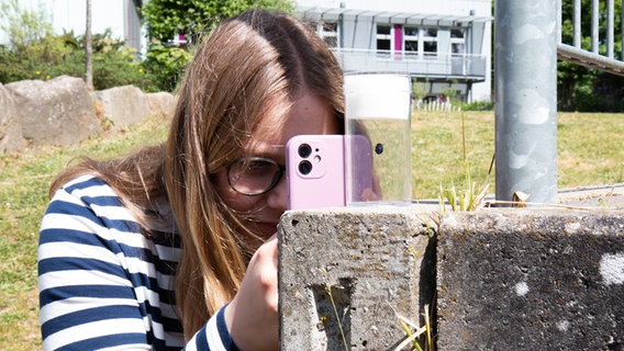 Eine Schülerin hält ihr Smartphone auf ein Glas mit einem Insekt. © NDR Foto: Lisa Pandelaki