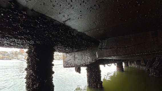 Pfeiler im Wasser tragen die Stahlbetonplatten der Promenade. © Flensburger Hafen GmbH 