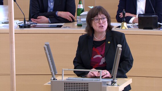 Eka von Kalben (Grüne) spricht im Kieler Landtag.  