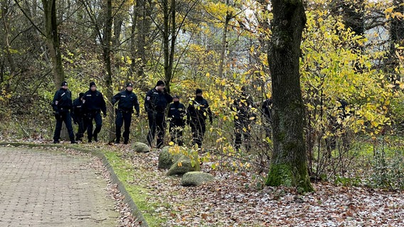 Einsatzkräfte der Polizei durchkämmen ein Waldstück. © NDR Foto: Christoph Deuschle