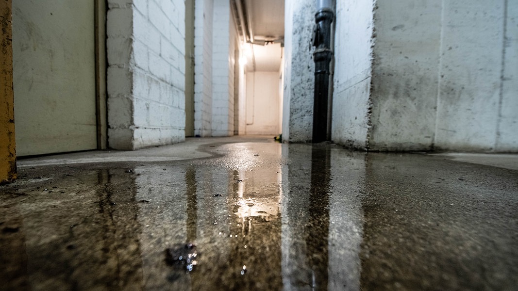 Grundwasserspiegel steigt Feuchte Keller werden in SH zum Problem NDR.de Nachrichten