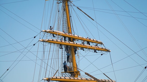 Matrosen sind auf einem großen Mast in der Takelage unterwegs. © NDR Foto: Christian Wolf