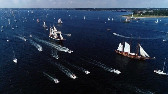 Zahlreiche Segelschiffe fahren auf der Kieler Förde bei der traditionellen Windjammerparade zur Kieler Woche. © NDR 