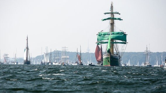 Zahlreiche Segelschiffe sind bei der Windjammerparade 2020 in der Kieler Förde unterwegs © dpa-Bildfunk Foto: Frank Molter
