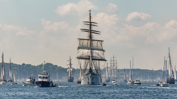 Mehrere Segelboote werden von der "Gorch Fock" zur Windjammerparade auf der Kieler Woche angeführt. © picture alliance Foto: Axel Heimken