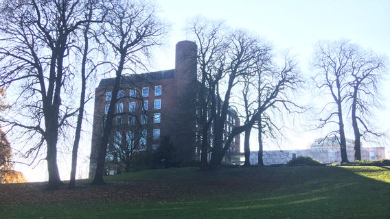 Das Kieler Schloss hinter herbstlichen Bäumen. © NDR Foto: Lisa Pandelaki