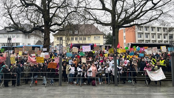 Demonstrierende mit Plakaten vor dem Kieler Landeshaus. © NDR Foto: Christian Nagel