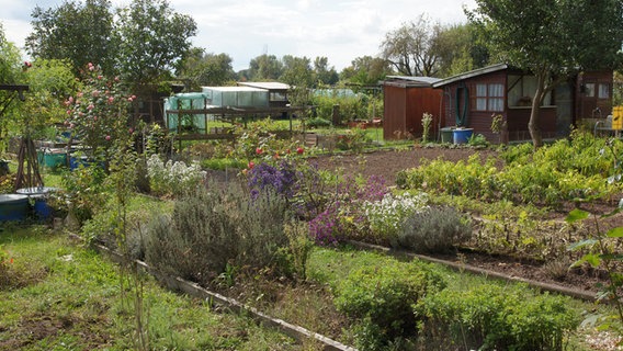 Ein Blick in einen Schrebergarten © picture alliance / Zoonar Foto: Peter Himmelhuber