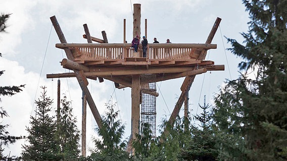 Der "TeamTower" im Erlebniswald Trappenkamp © ErlebnisWald Trappenkamp Foto: Ralf Seiler