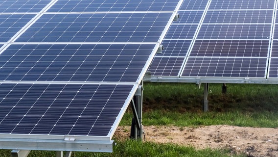 Solarmodulen in einem großen Park. © IMAGO / CHROMORANGE 
