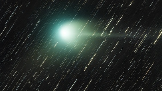 Der Sternenhimmel mit einem Kometen. Der Sternenhimmel mit einem Kometen. © Justus Falk, Sternwarte Neumünster Foto: Justus Falk, Sternwarte Neumünster