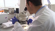 Ein Forscher untersucht am Mikroskop die Krebszellen © NDR 