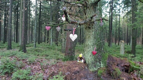Eine Krippe steht im Wald, über ihr sind einige Herzförmische Anhänger in einen Baum gehängt worden. © NDR Foto: Laura Albus