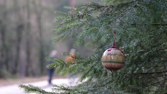 Eine Weihnachtskugel hängt im Wald. © NDR Foto: Laura Albus