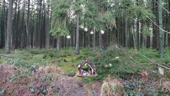 Eine Krippe steht im Wald. © NDR Foto: Laura Albus