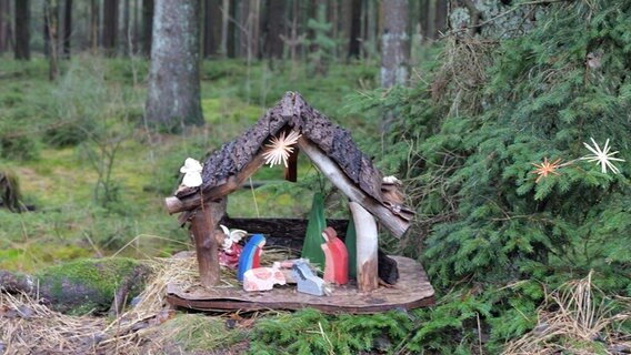 Eine Krippe steht im Wald. © NDR Foto: Laura Albus