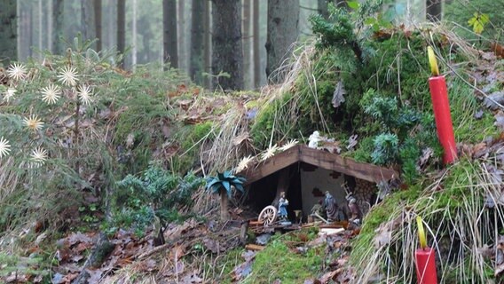 Eine Krippe steht in einem Wald unter Laub und Moos. © NDR Foto: Laura Albus