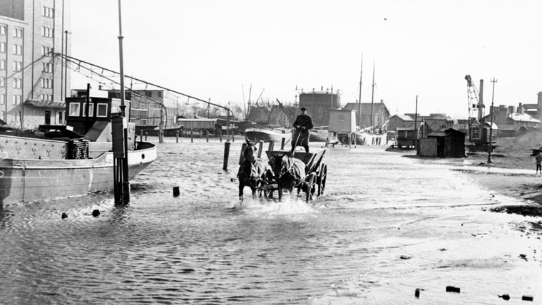 Eine historische Aufnahme des Hafens in Elmshorn. © Stadtarchiv Elmshorn