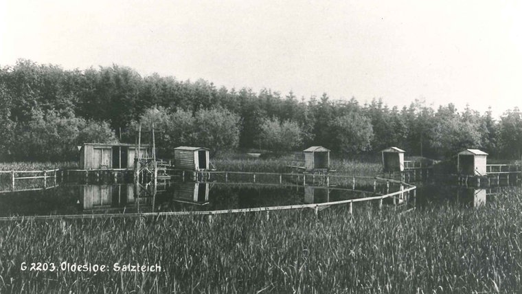 Historisches Foto der Badekarren am Salzteich in Bad Oldesloe. © Kultur und Stadtarchiv Bad Oldesloe Foto: Kultur und Stadtarchiv Bad Oldesloe